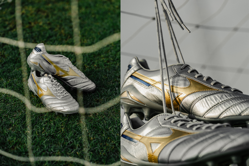 MORELIA DNA JAPAN